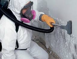 Why You Should Choose Our Mold Remediation Services in Seymour, WI